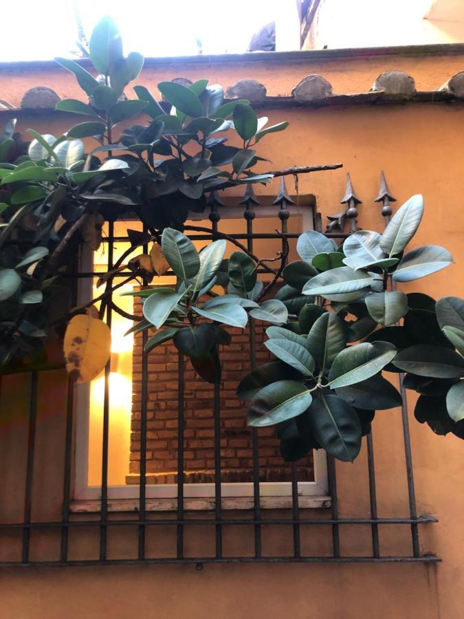 罗马Pantheon, Campo De Fiori Mini Garden公寓 外观 照片
