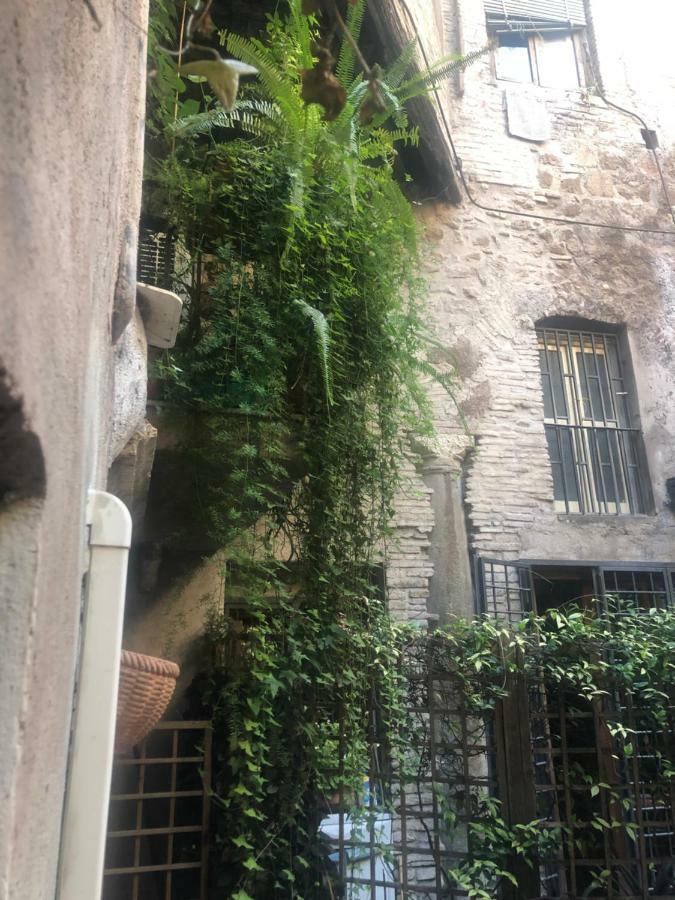 罗马Pantheon, Campo De Fiori Mini Garden公寓 外观 照片